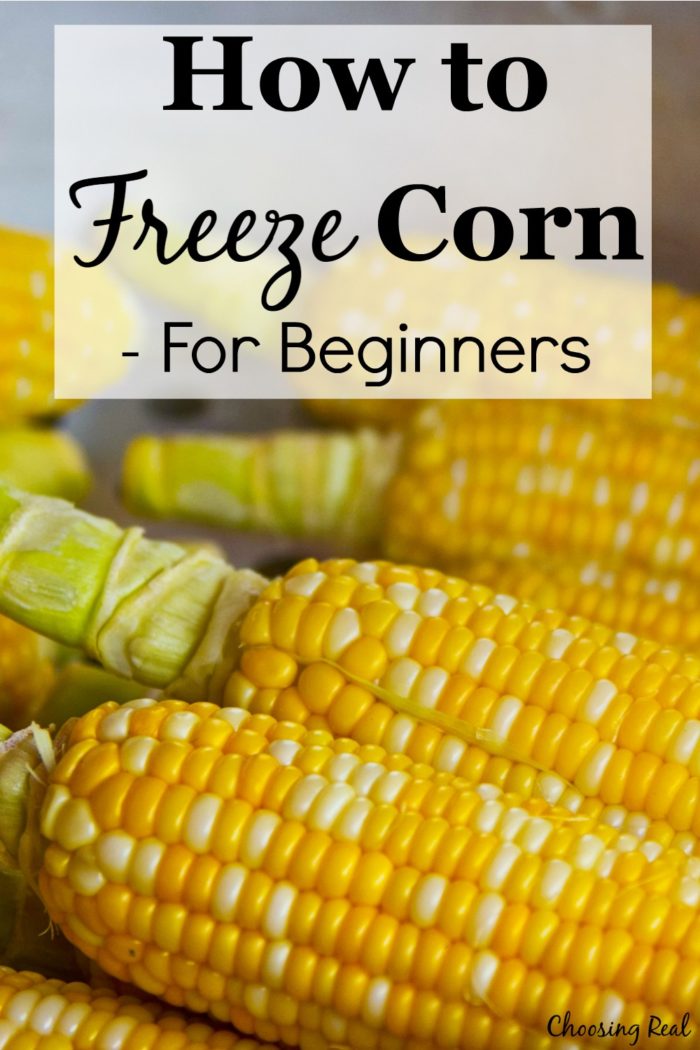 Freezing corn is an economical way to preserve the harvest. Here is a step-by-step tutorial for how to freeze corn.