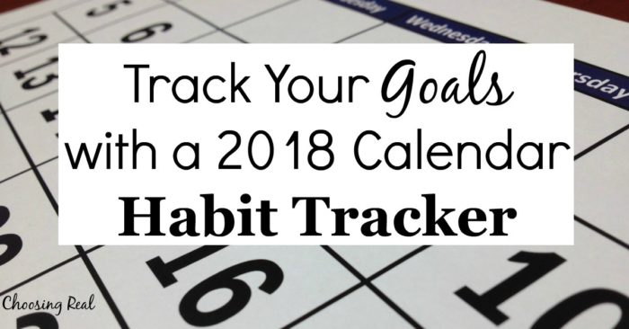 Using this 2018 habit tracker can help you meet your daily goals this year. Simply print the 1-page calendar and mark off each day you meet your daily goal.