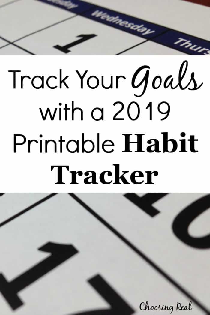 Using this 2019 habit tracker calendar can help you meet your daily goals. Simply print out calendar and mark off each day you meet your daily goal.