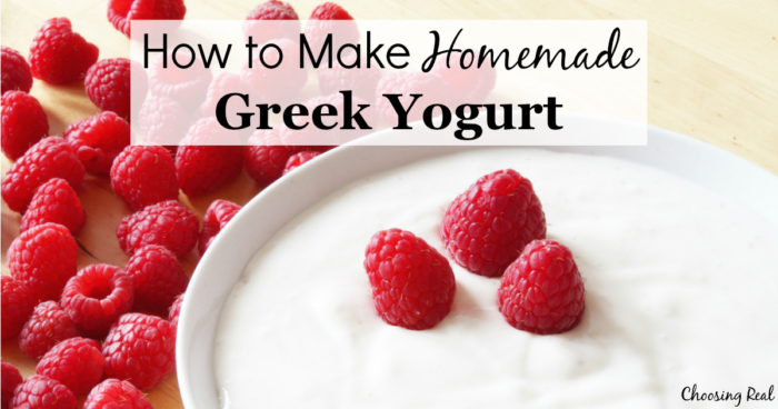 Once you start making homemade Greek yogurt, you'll kick yourself for not trying it sooner. Making yogurt is actually easy & saves money.