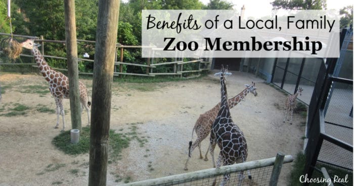 For the past 3 years, my family had a local, family zoo membership, and it was such a pleasure to have that family experience.